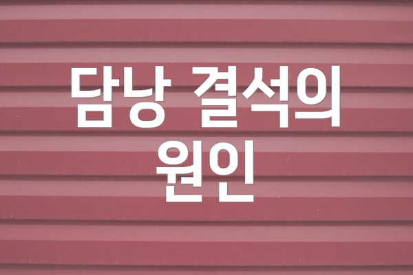 담낭 결석의 원인