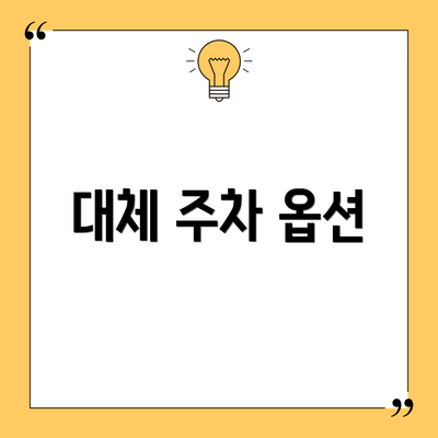 대체 주차 옵션