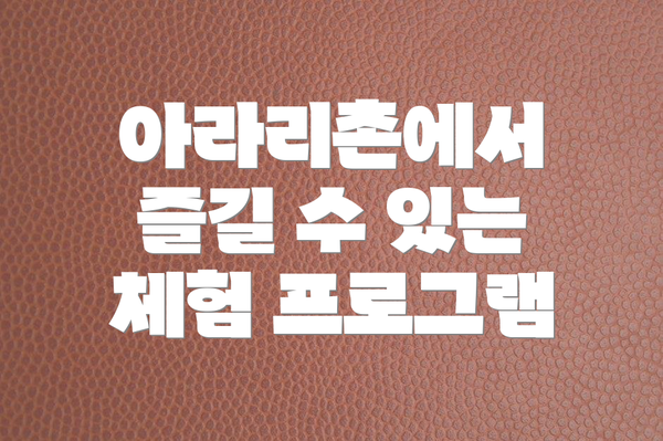 아라리촌에서 즐길 수 있는 체험 프로그램