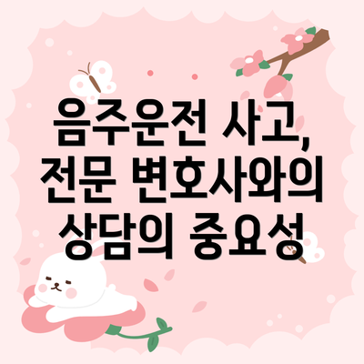 음주운전 사고, 전문 변호사와의 상담의 중요성