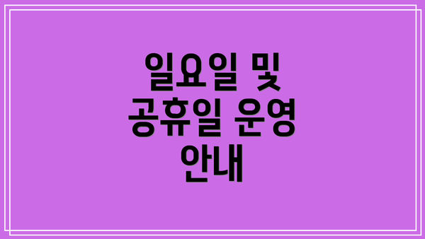 일요일 및 공휴일 운영 안내
