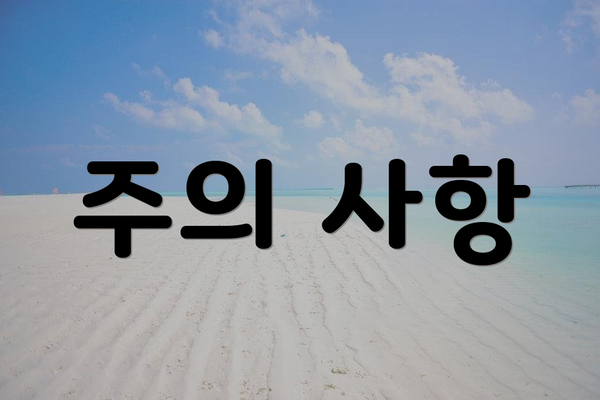 주의 사항
