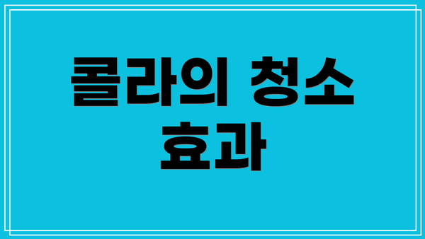 콜라의 청소 효과