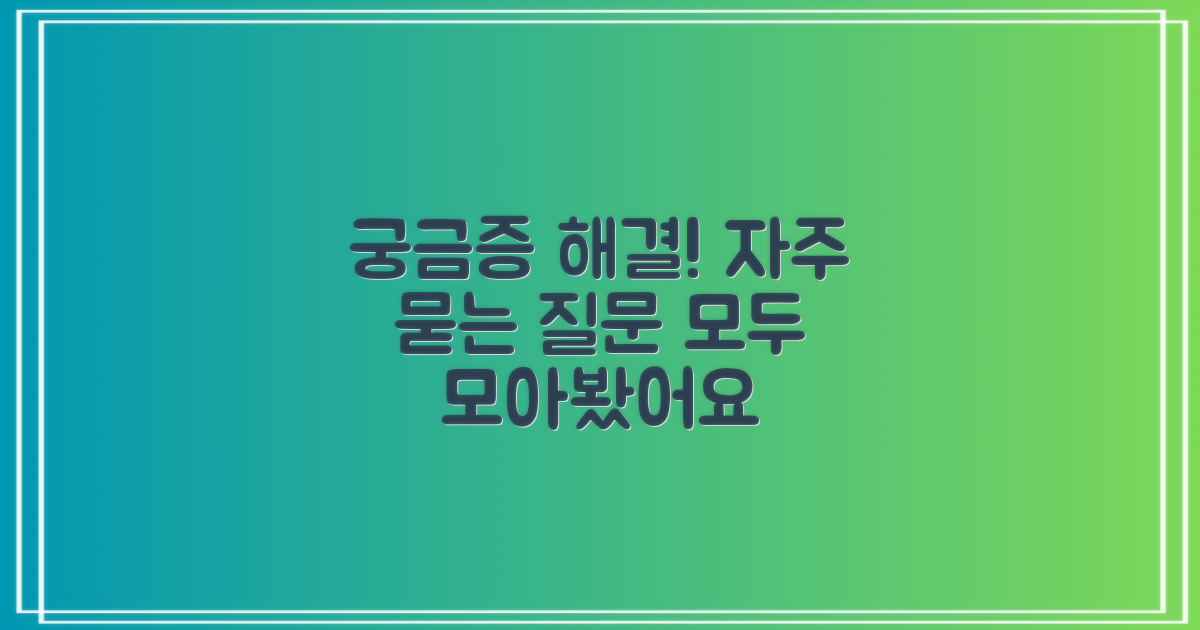 자주 묻는 질문