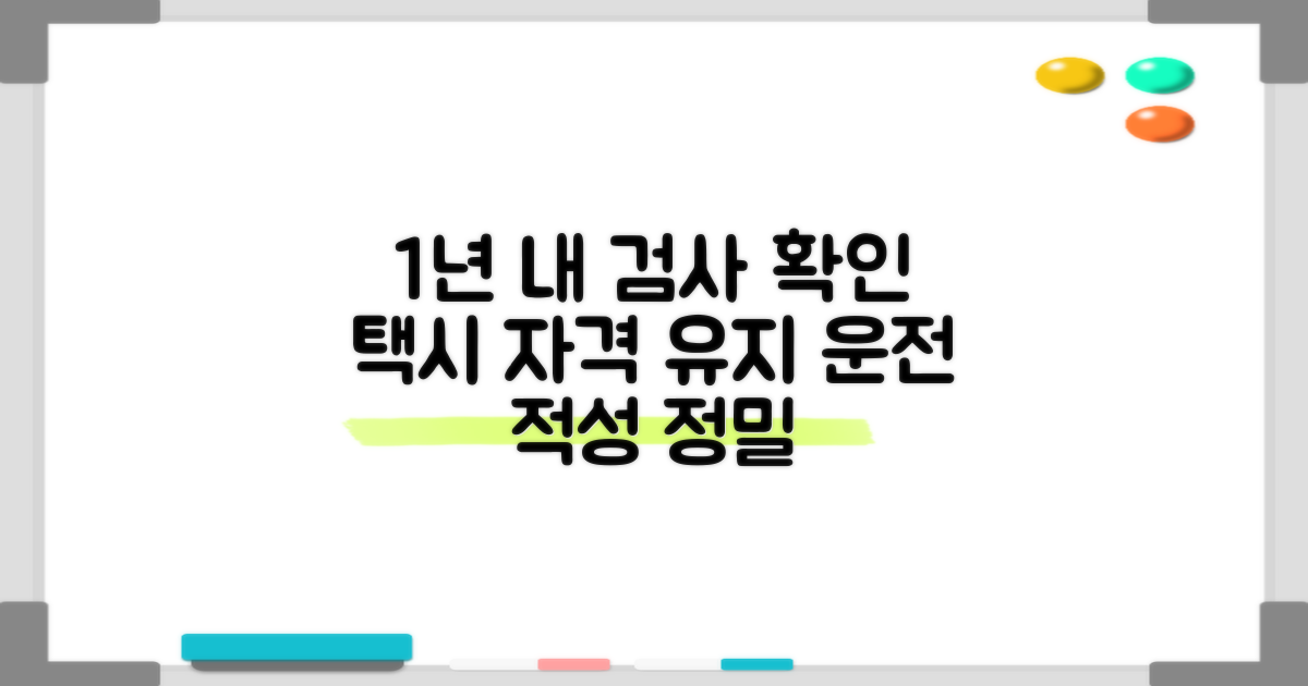 1년 내 대상 기간 확인: 택시운전 자격 유지 검사 대상 기간 신청 방법 및 운전 적성 정밀 검사 안내