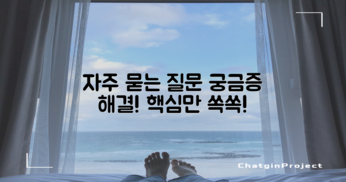 자주 묻는 질문