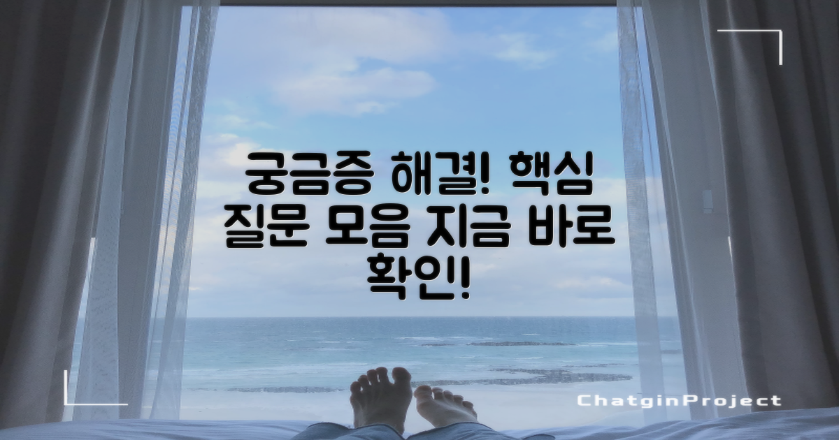 자주 묻는 질문